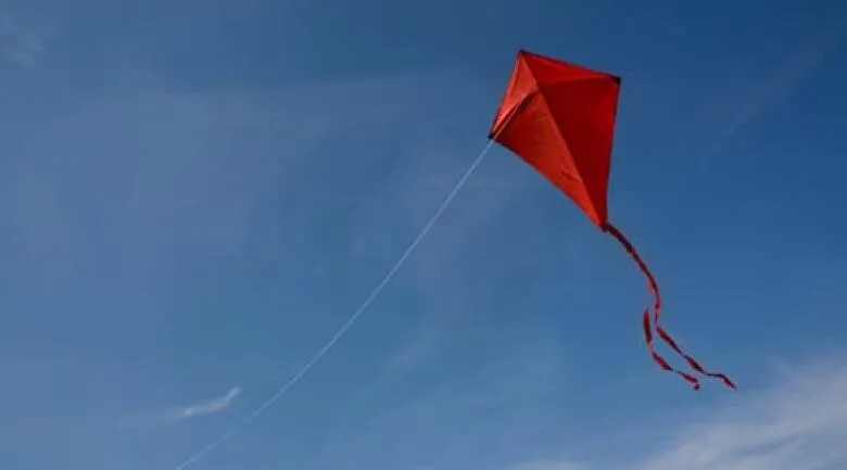 Toronto Bans Kite Flying In City Park Cbc News