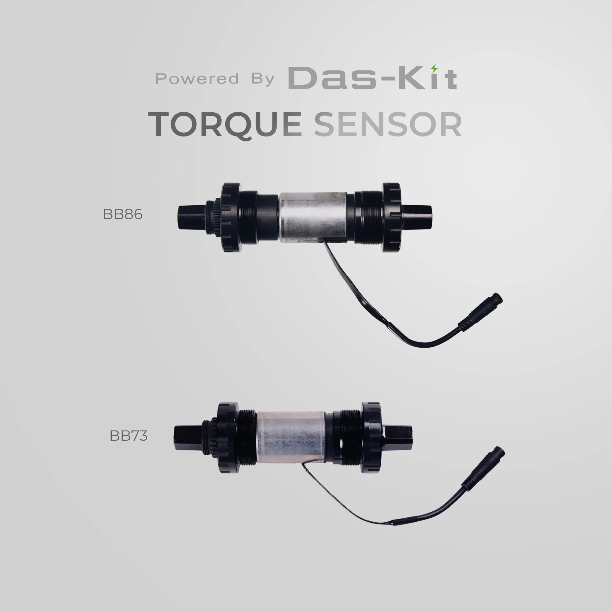 Torque Sensor