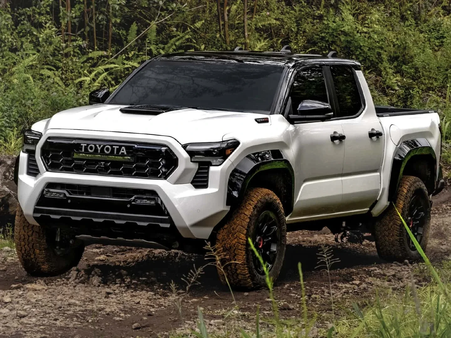 Toyota Pickup 2024 Tacoma Adina Arabele
