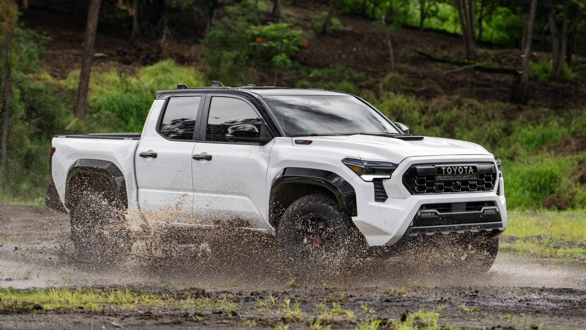 Toyota Tacoma 2025 Limited Zahira Sage