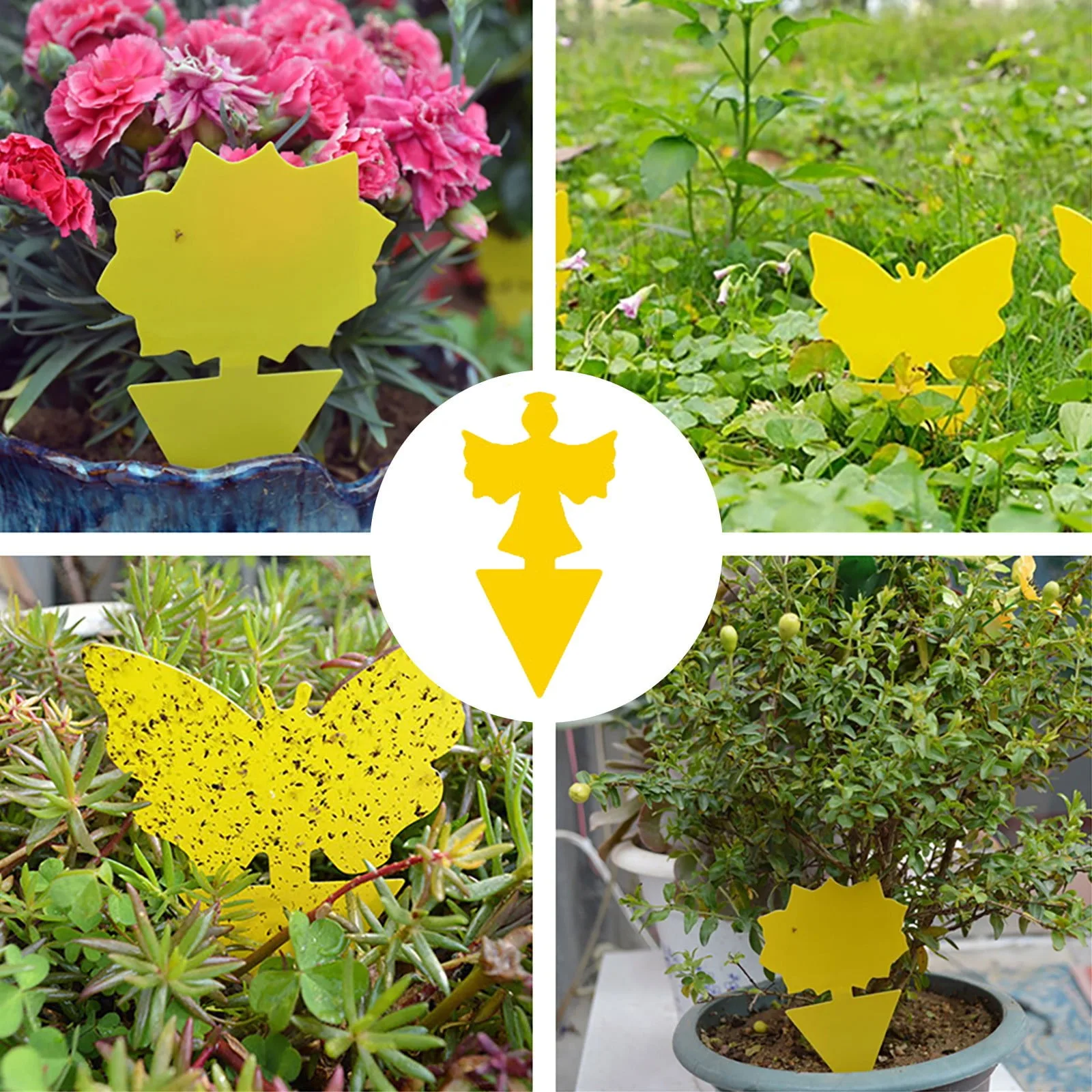 Traps Sticky Board Dual Sided Sticky Traps Flying Plant Insect Catcher