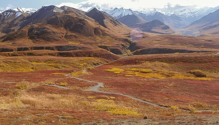Tundra Characteristics Sciencing