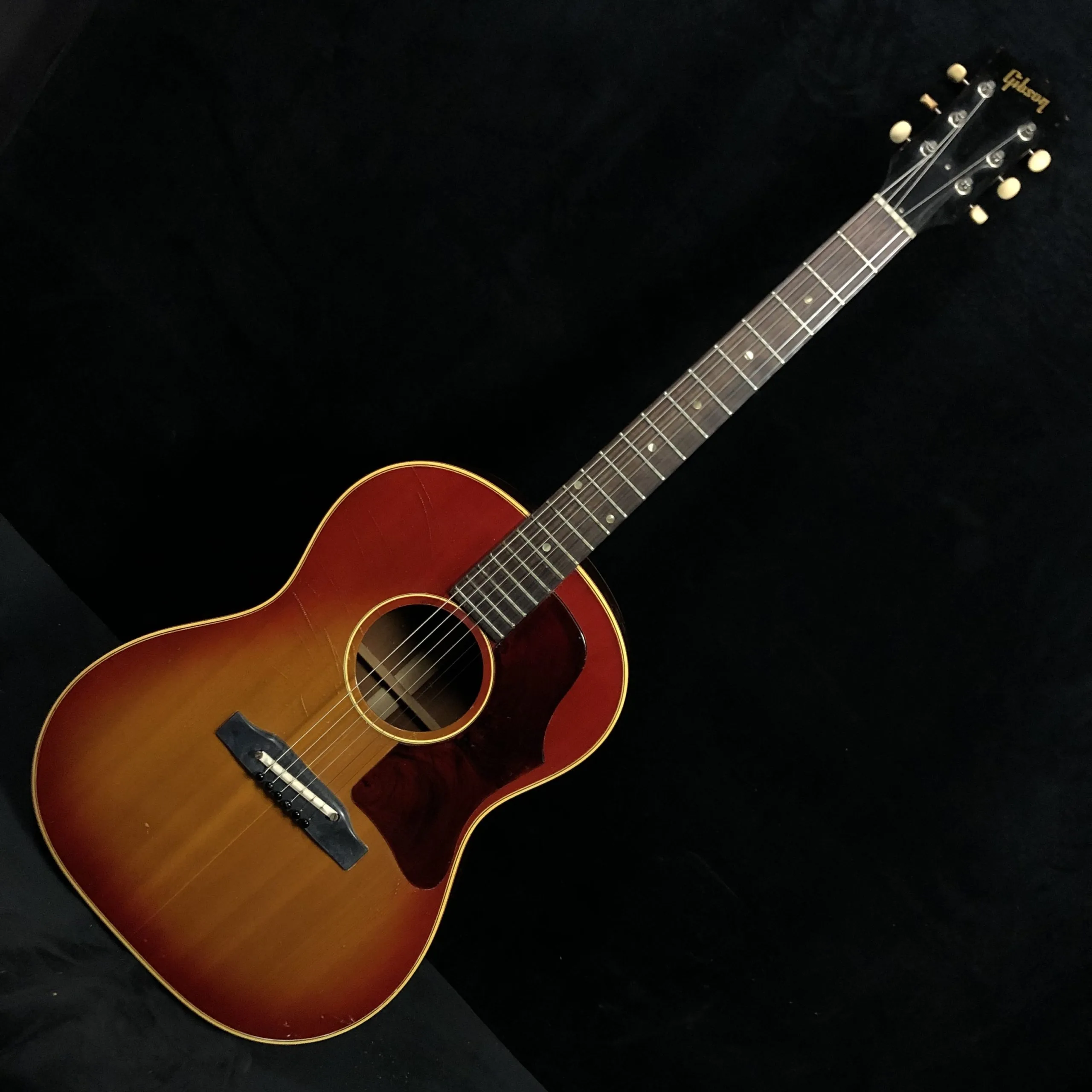 Types Of Acoustic Guitars At Pearl Murray Blog