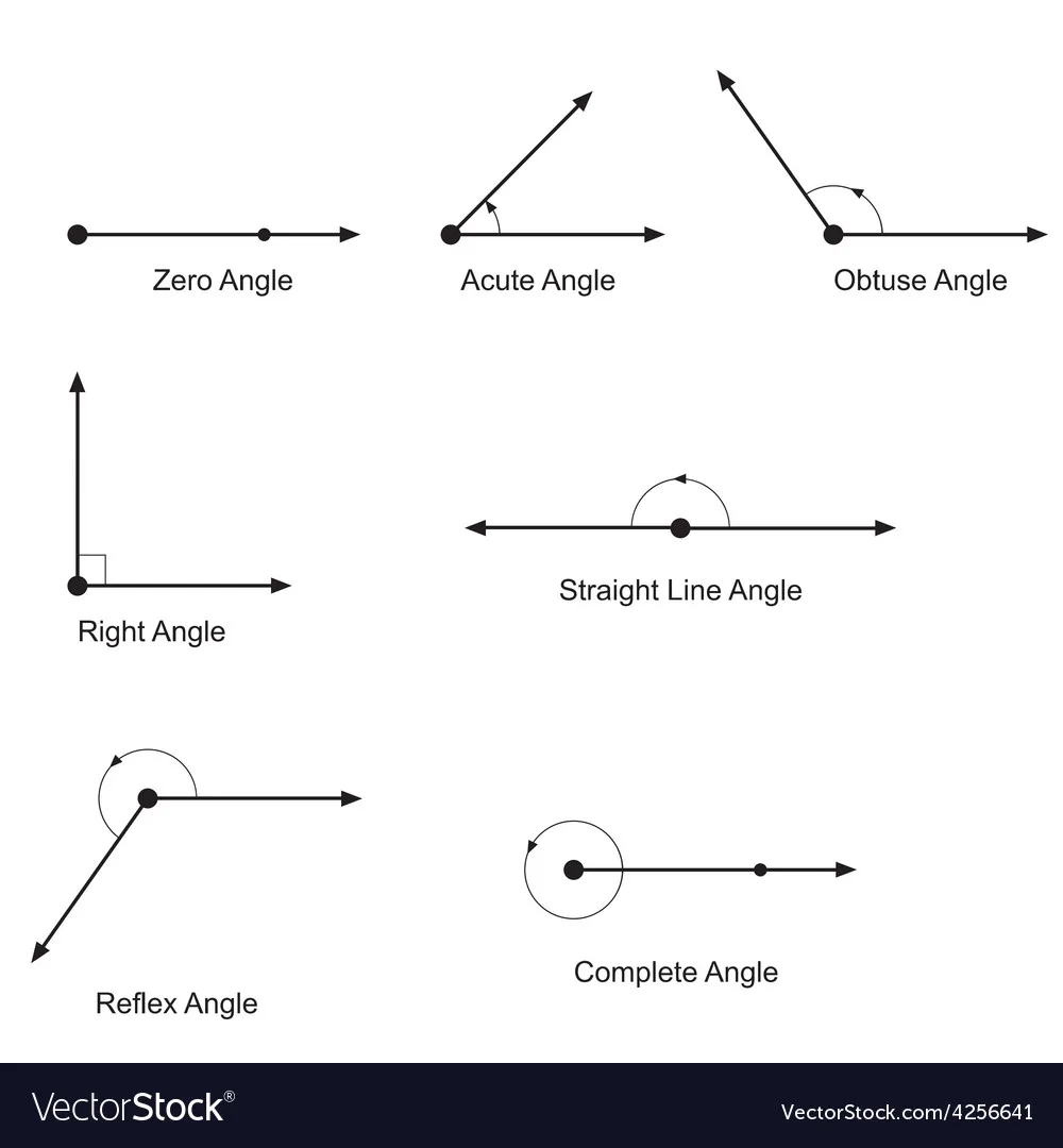 Types Of Angles Royalty Free Vector Image Vectorstock