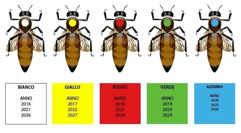 Types Of Flies A Visual Guide