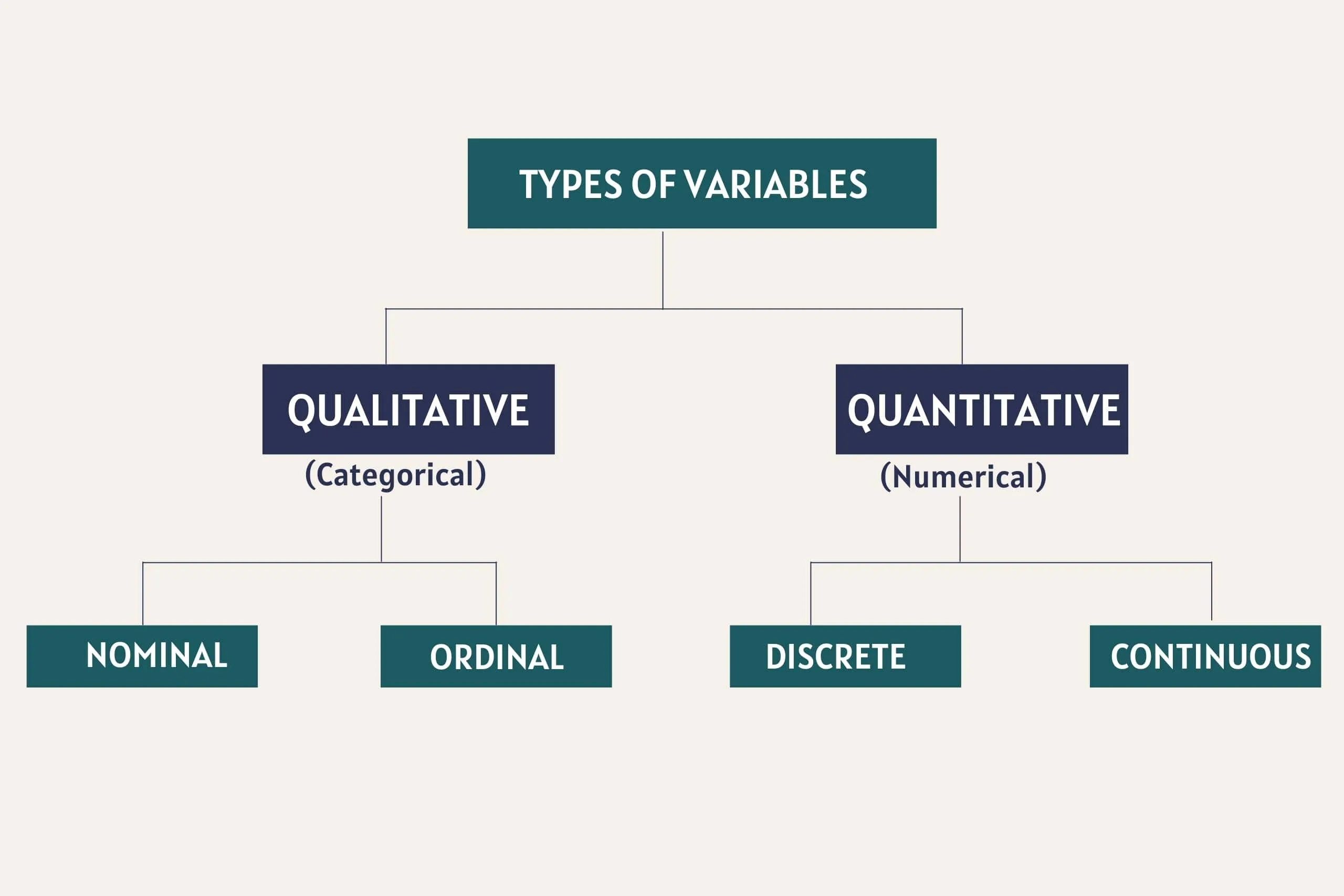 Types Of Variables In Statistics With Examples