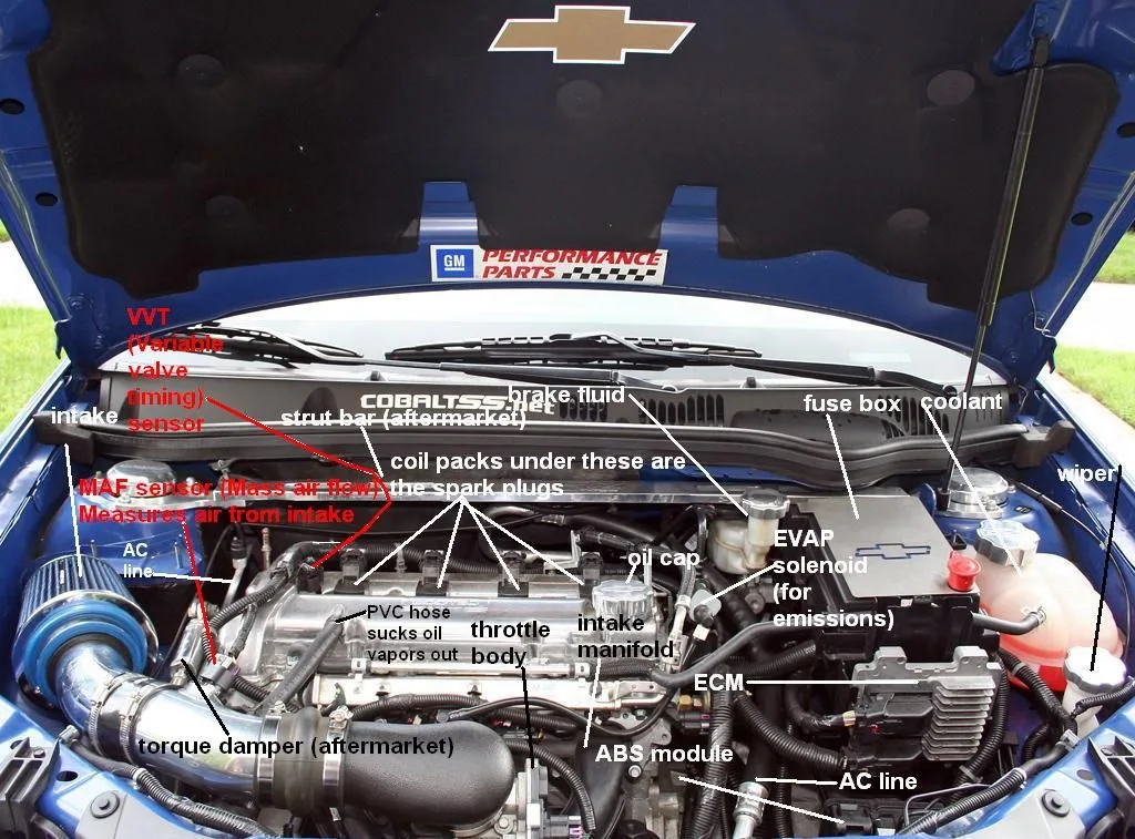 Under The Car Hood Diagram