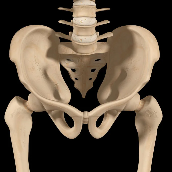 Understanding Pelvic Injuries How To Treat Them