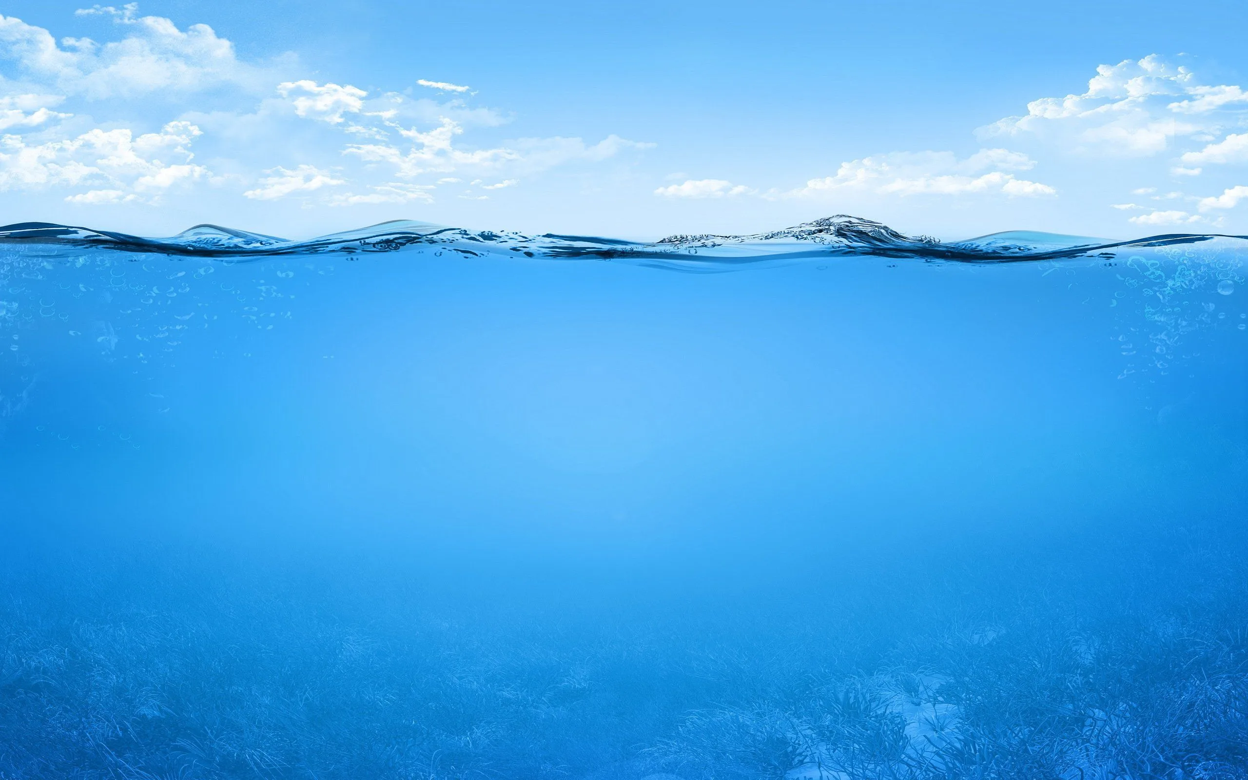 Underwater Ocean Wallpapers On Wallpaperdog