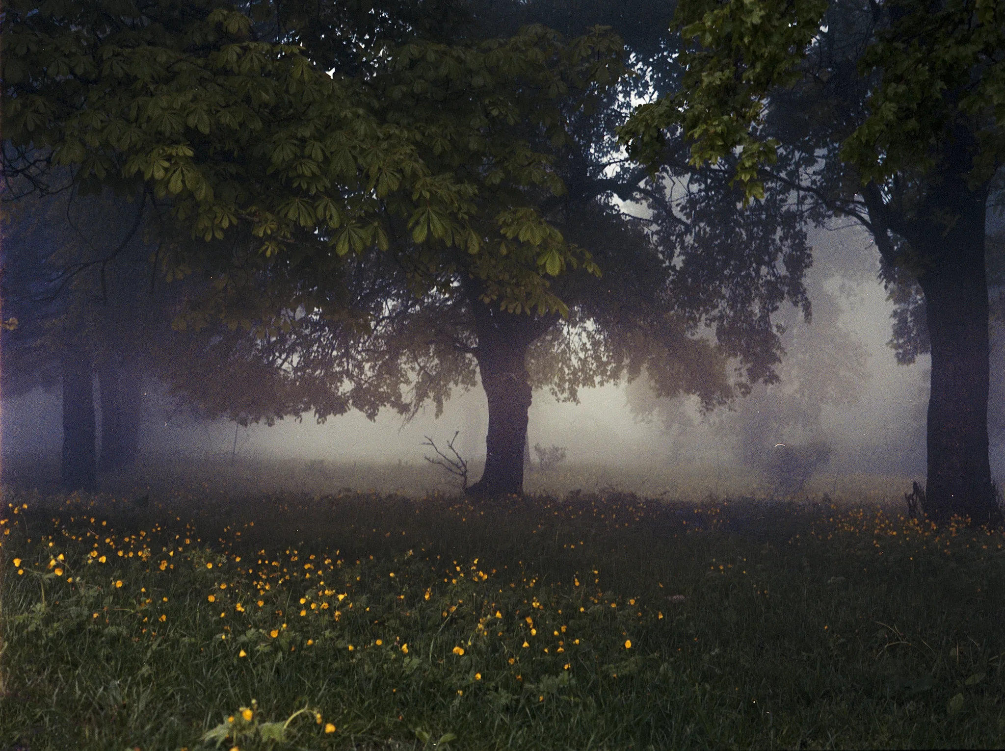 Upslope Fog In May By Mariam Sitchinava 500Px