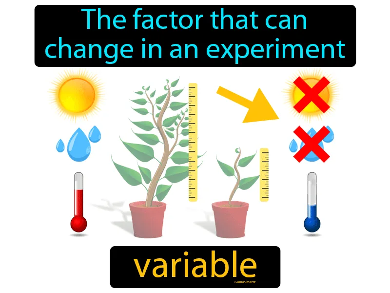 Variable Annuitization Definition Tabitomo