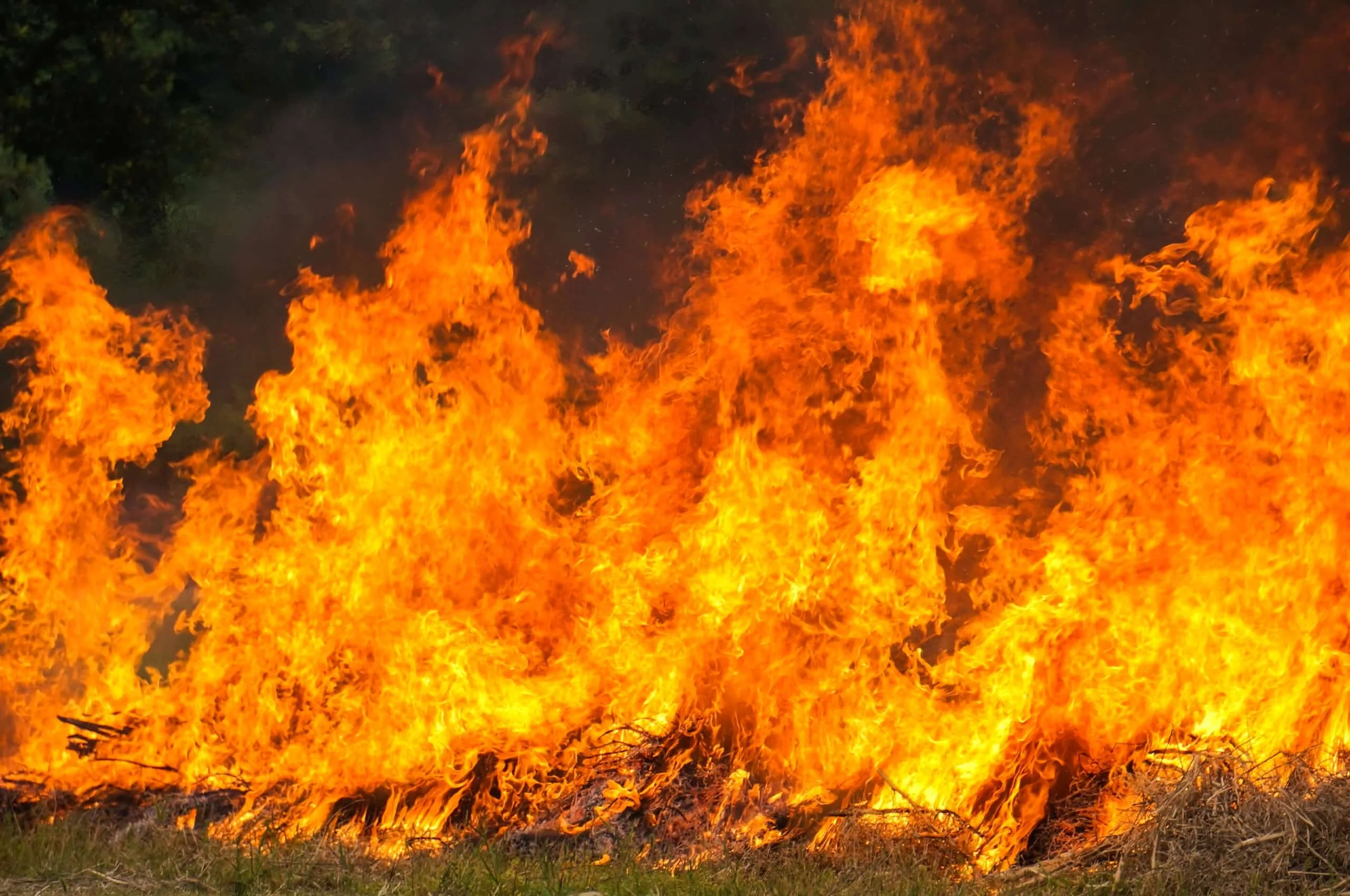 Veld Fires 101 What How Beauty And Challenges