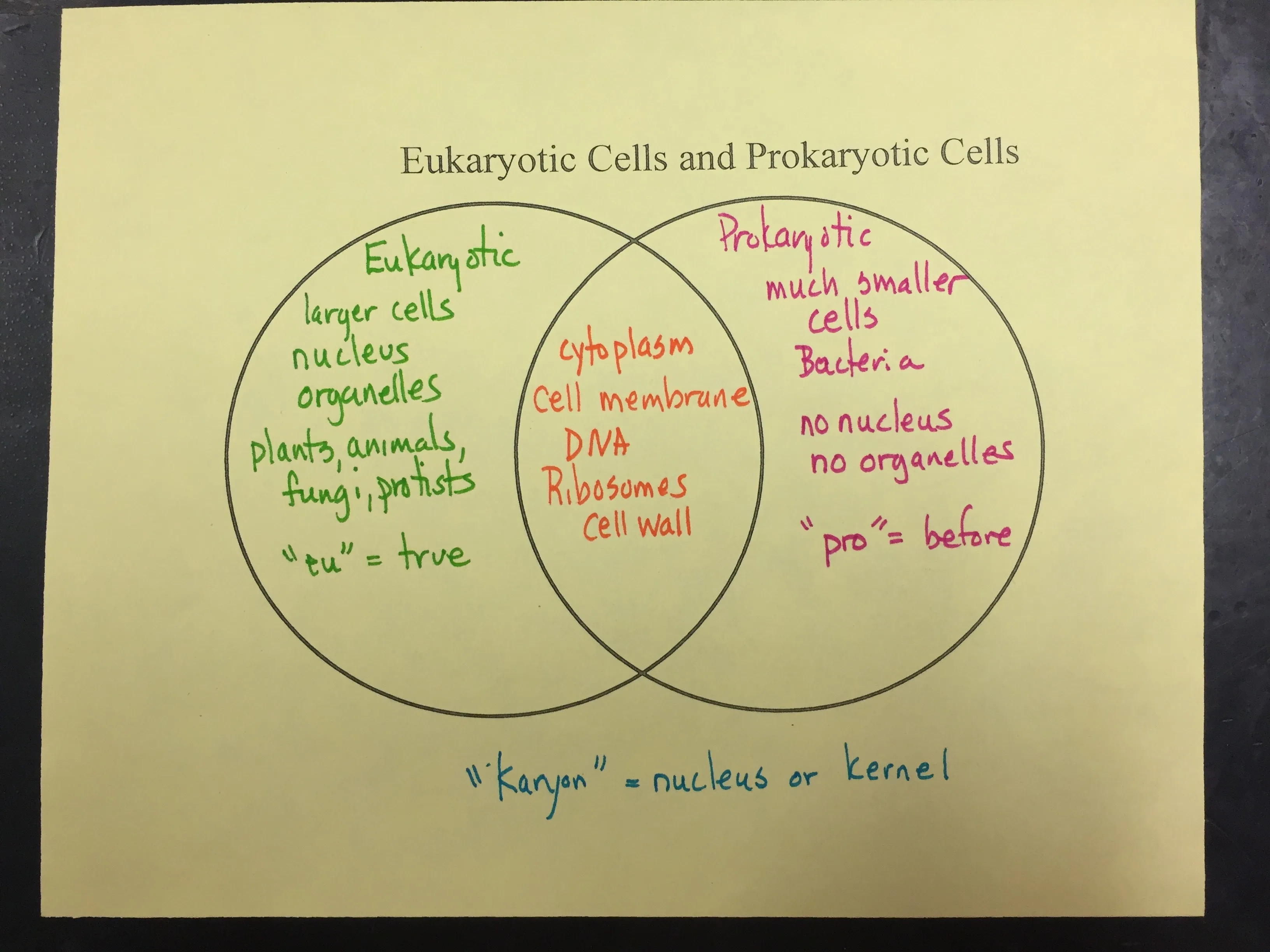 Virus Vs Cell Venn Diagram