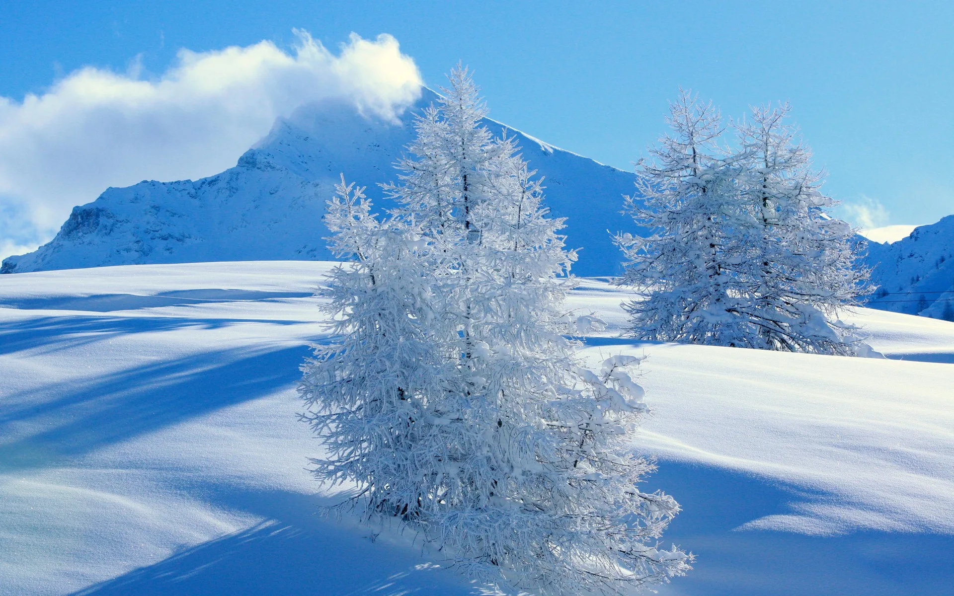 Wallpaper Landscape Mountains Nature Snow Winter Ice Frost Freezing Tree Weather