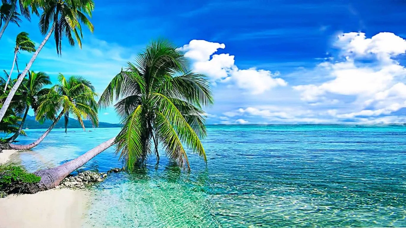 Wallpapers Free Download Collection For Free Download Hd Wallpapers