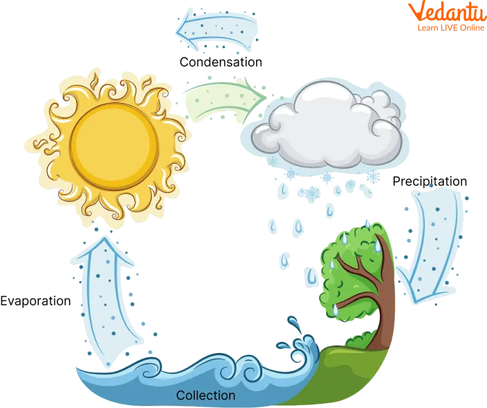 Water Cycle Learn Definition Properties And Facts
