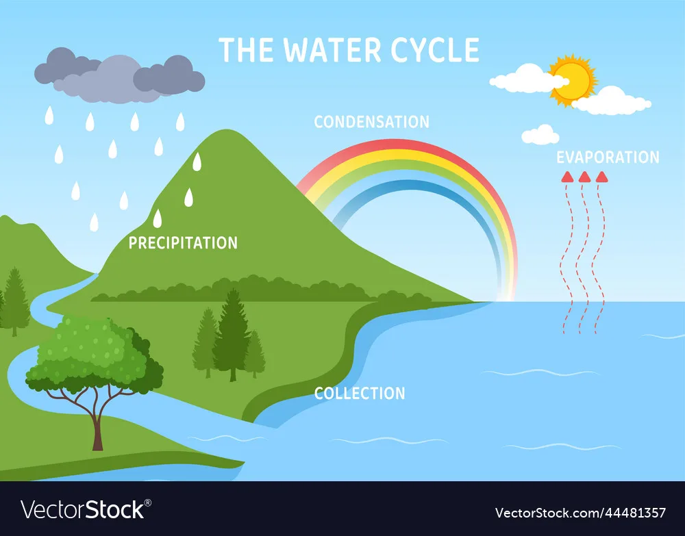 Water Cycle Of Evaporation Condensation Royalty Free Vector