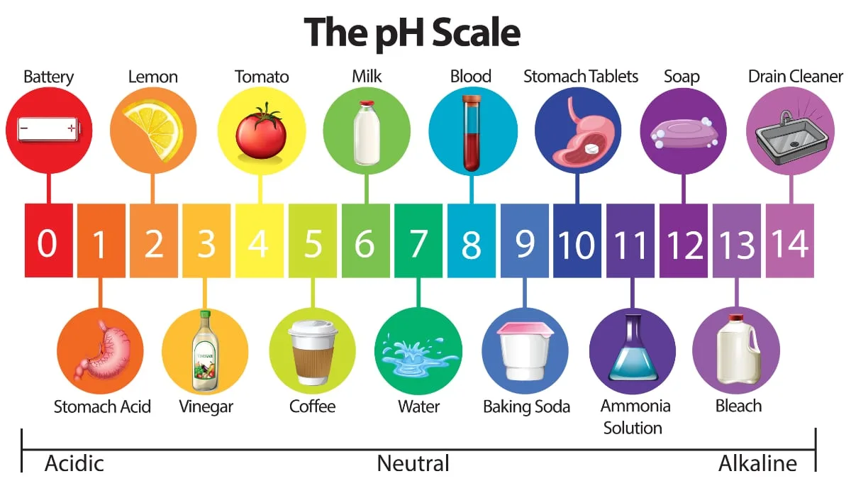Water Quality 101 What Is Ph In Water Testing