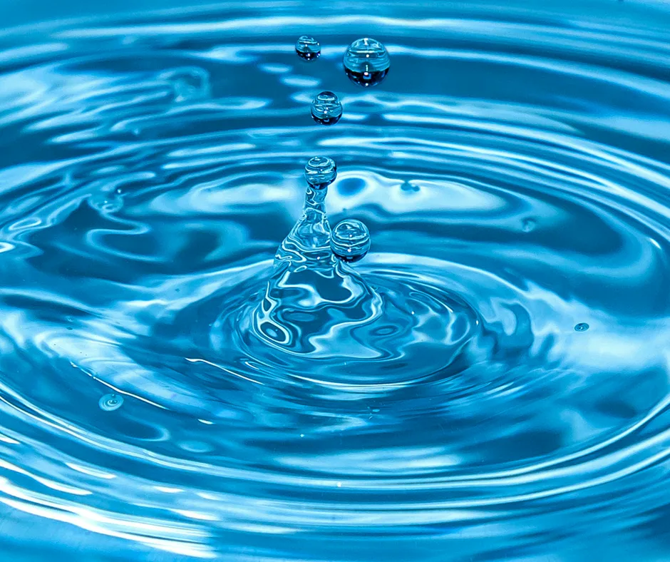 Water Weight Loss Ontrack