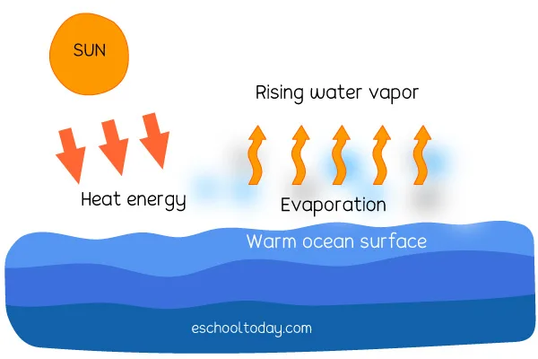 Watercolor Painting Evaporation