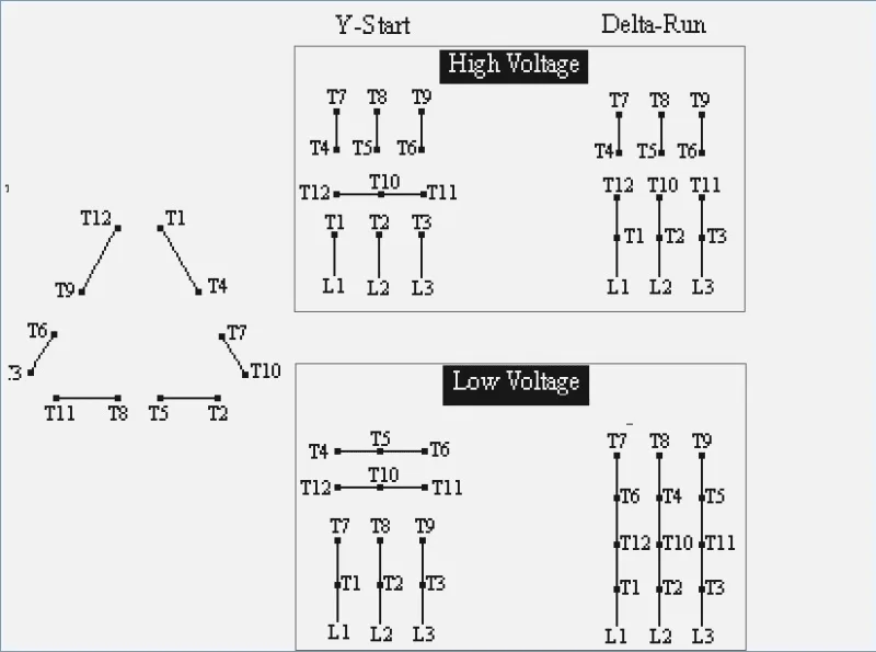 Weg Electric Motor Wiring Diagram Wiring Diagram