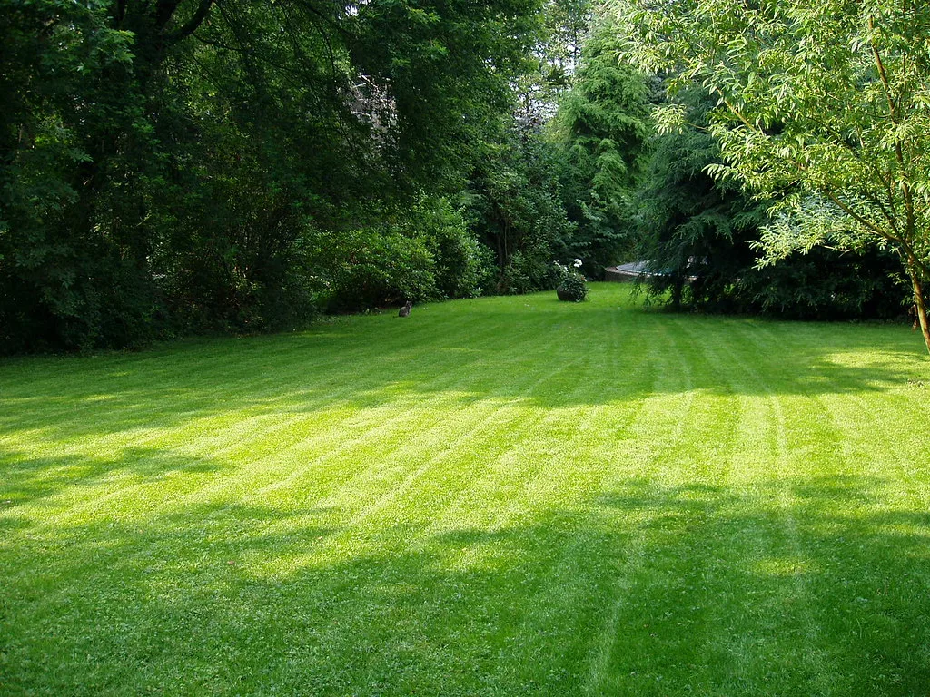 What A Lawn It Was A Nice Day I Just Mowed The Lawn Whic Flickr