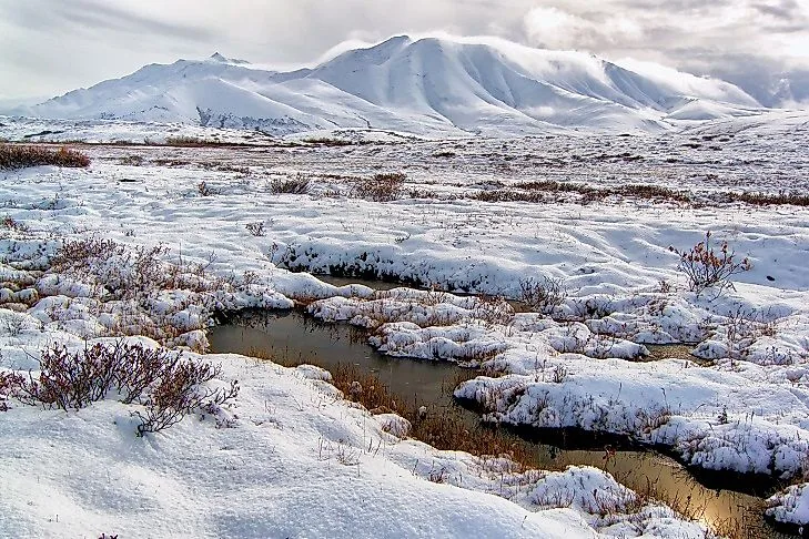 What And Where Is The Tundra