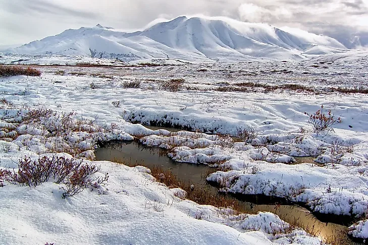 What And Where Is The Tundra Worldatlas