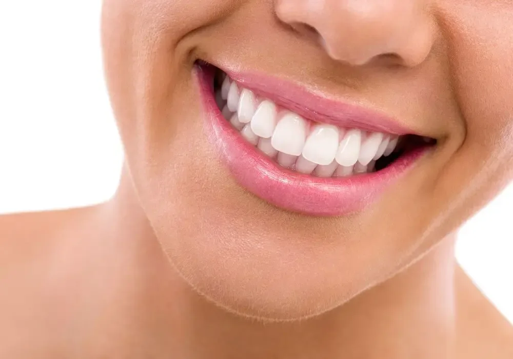 What Are All 32 Teeth A Friendly Guide To Understanding Your Teeth