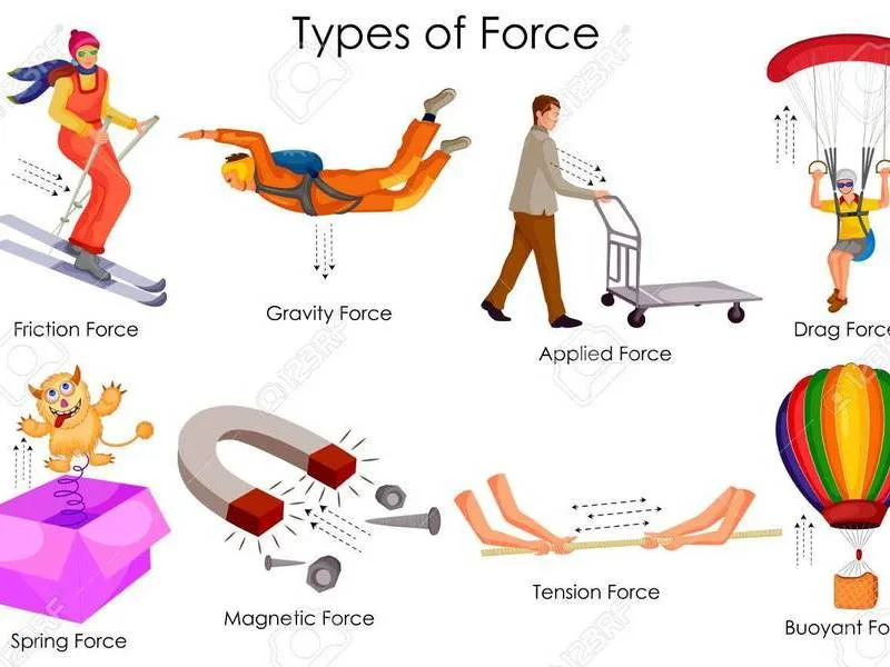 What Are All The Forces In Science