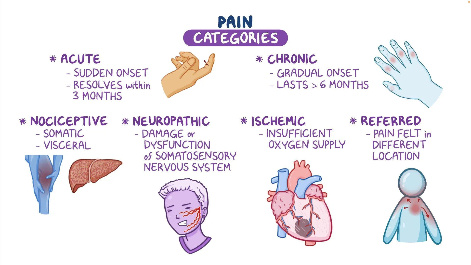 What Are The Different Types Of Pain Medicine At Harry Richey Blog