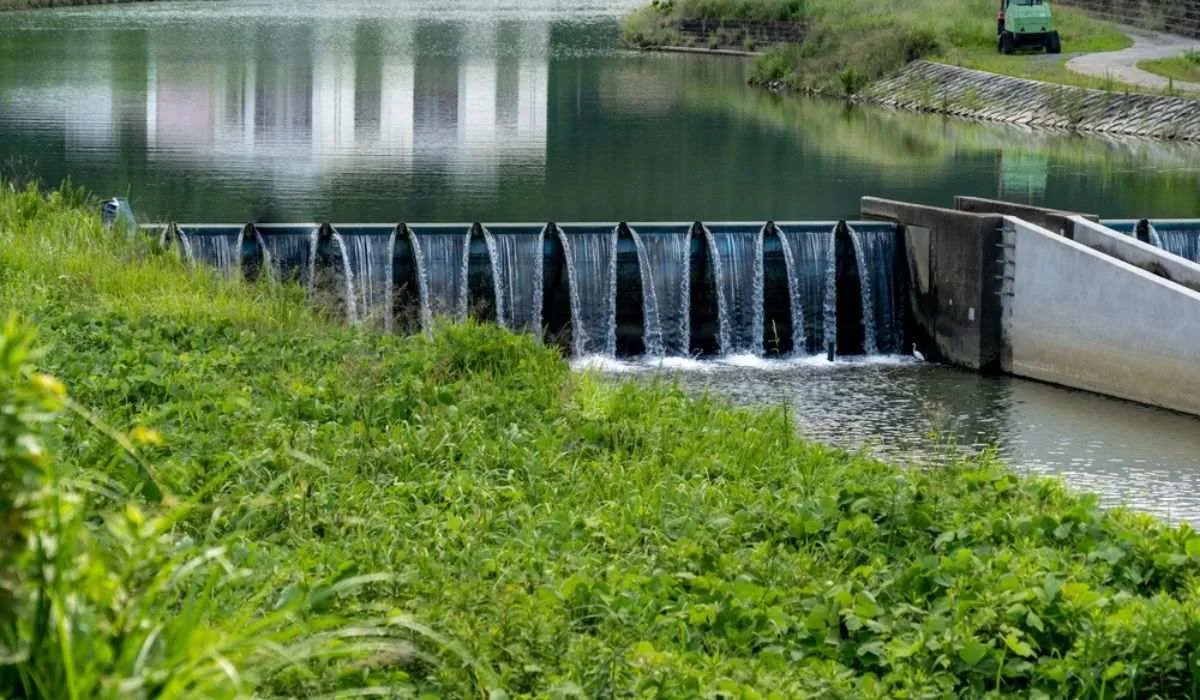 What Are Weirs How Are They Useful