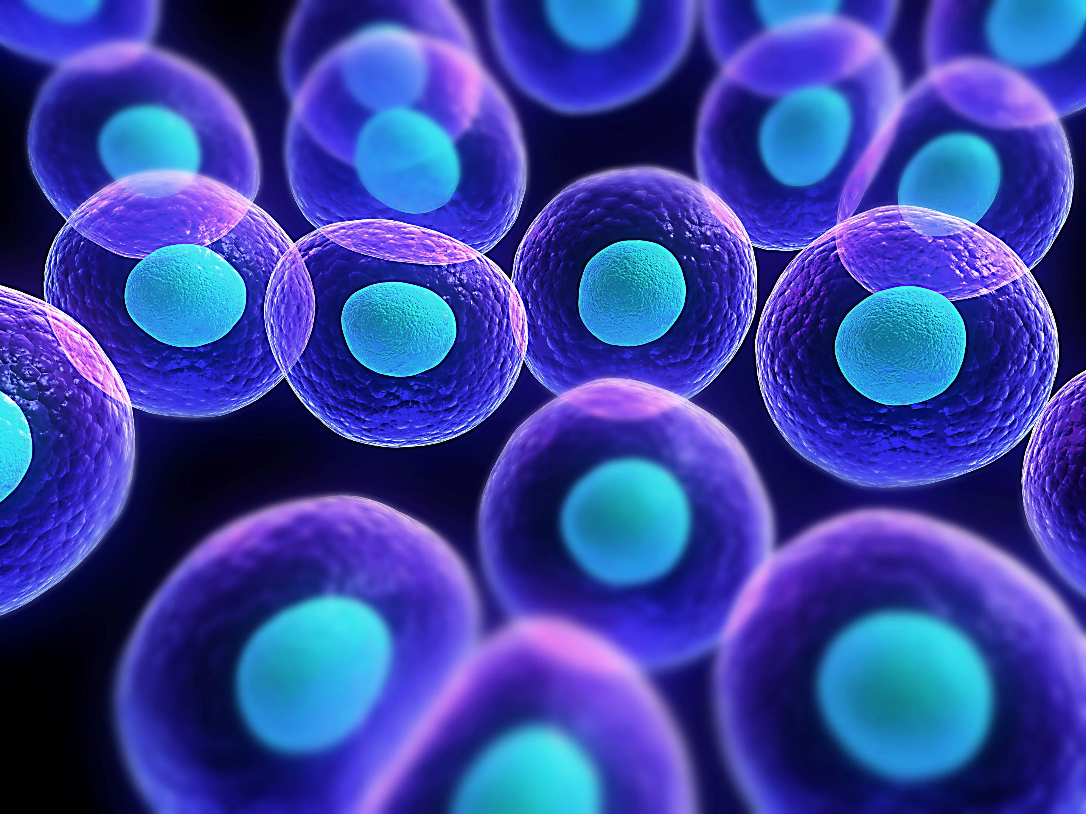 What Cell To Cell Communication Teaches Us About Human Society