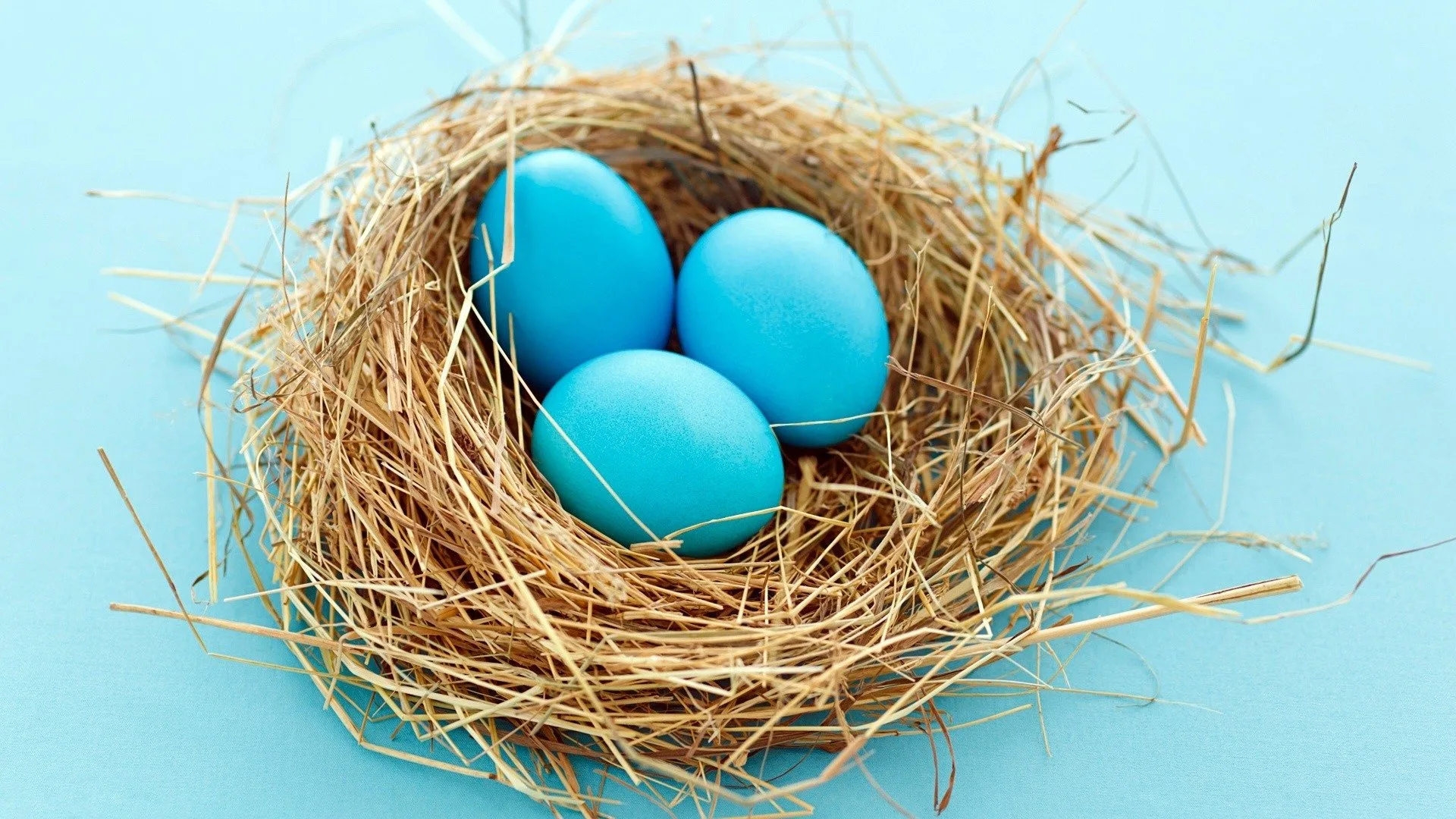 What Dream About Nest Means