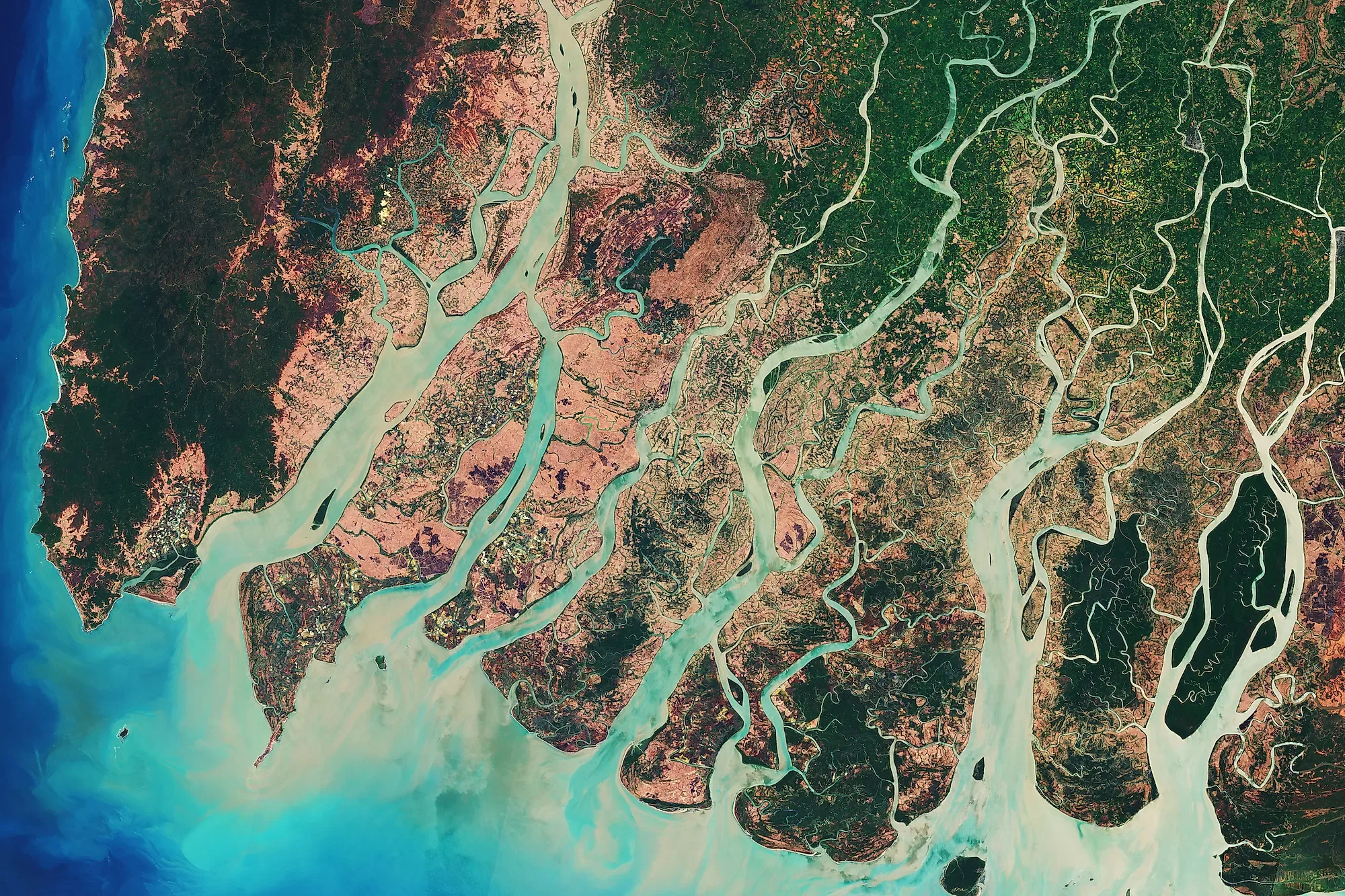 What Is A River Delta Worldatlas