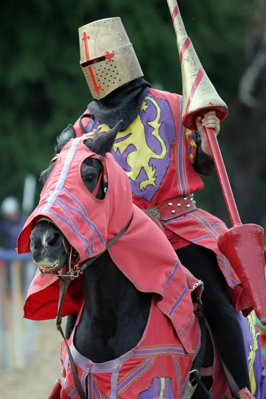 What Is A Squire With Pictures