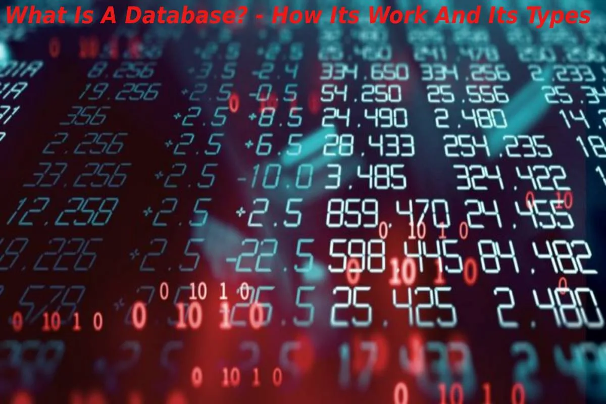 What Is Data How It Is Stored And Its Types