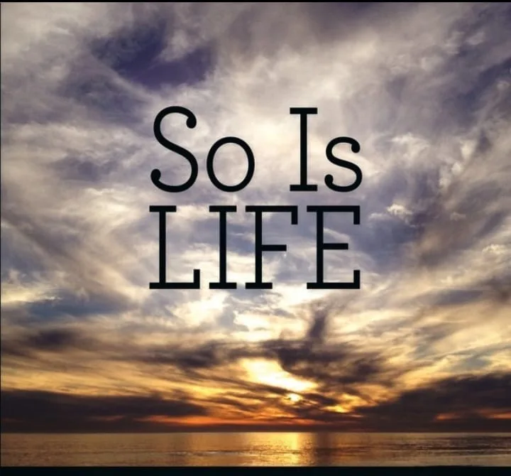 What Is Life An Interminably Captivating Inquiry By Life Stories Medium