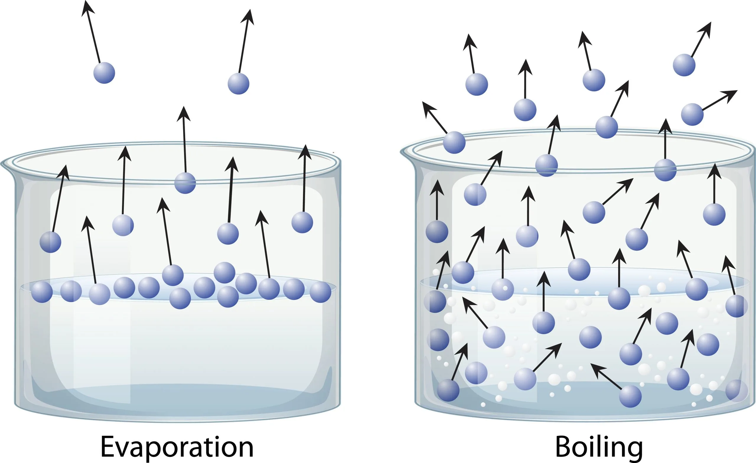 What Is The Definition Of Evaporation In Chemistry
