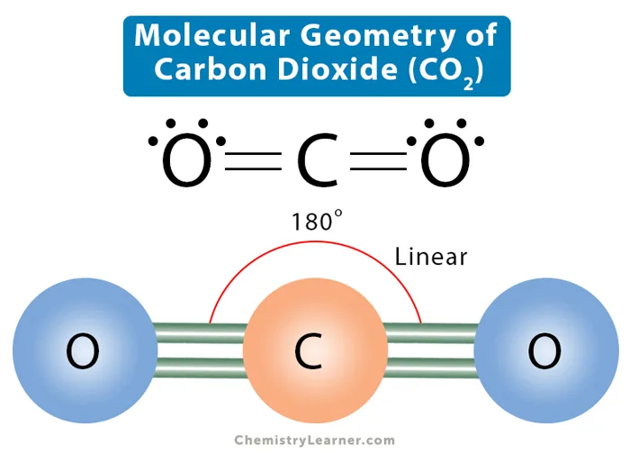 What Is The Lewis Structure Of Co2