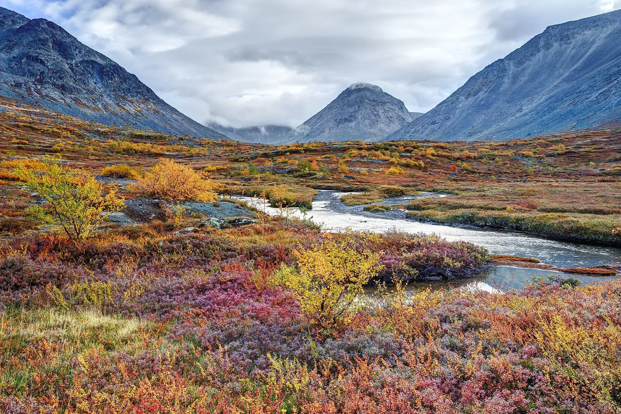 What Is The Tundra Worldatlas