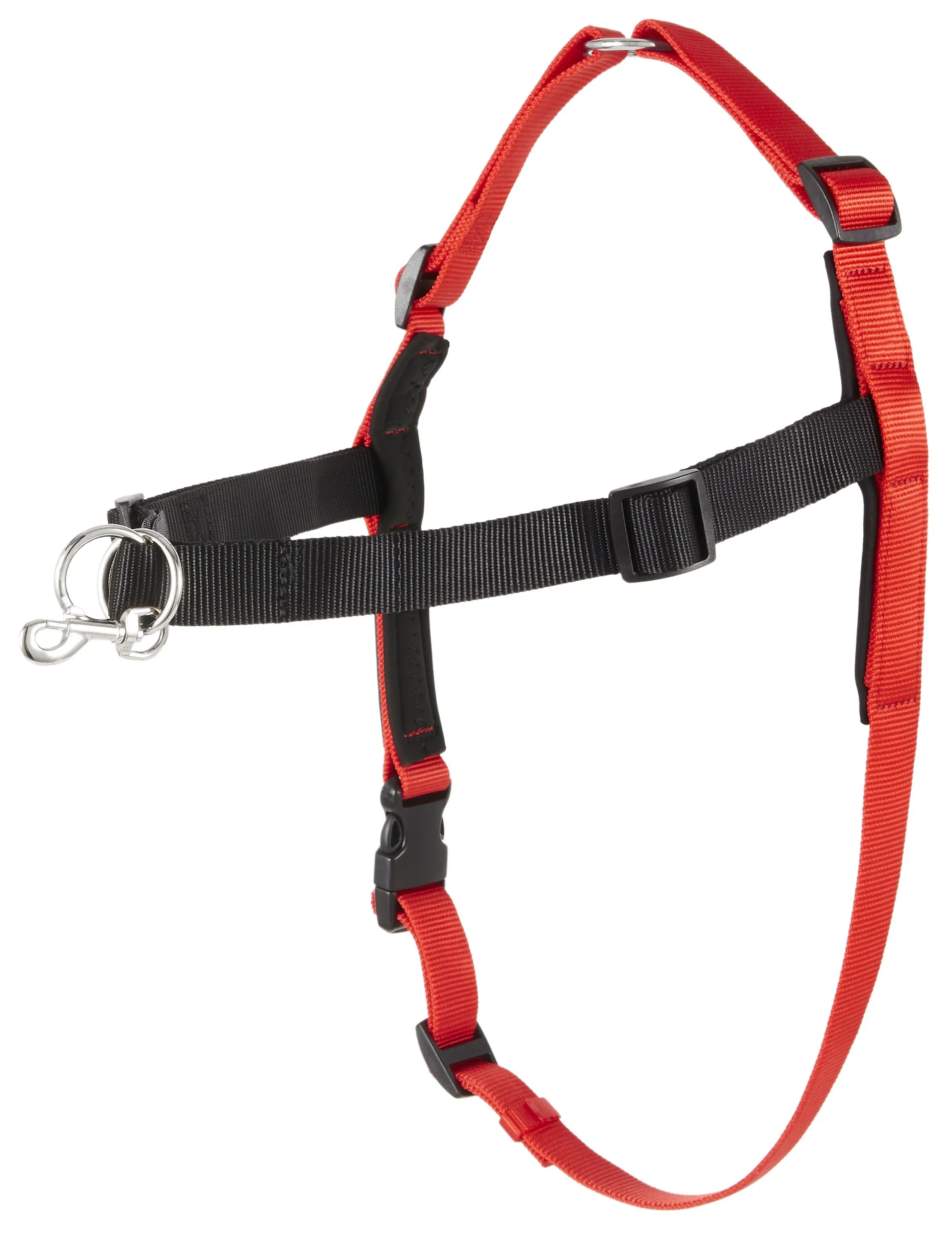 What Size Please For A Miniature Schnauzer
