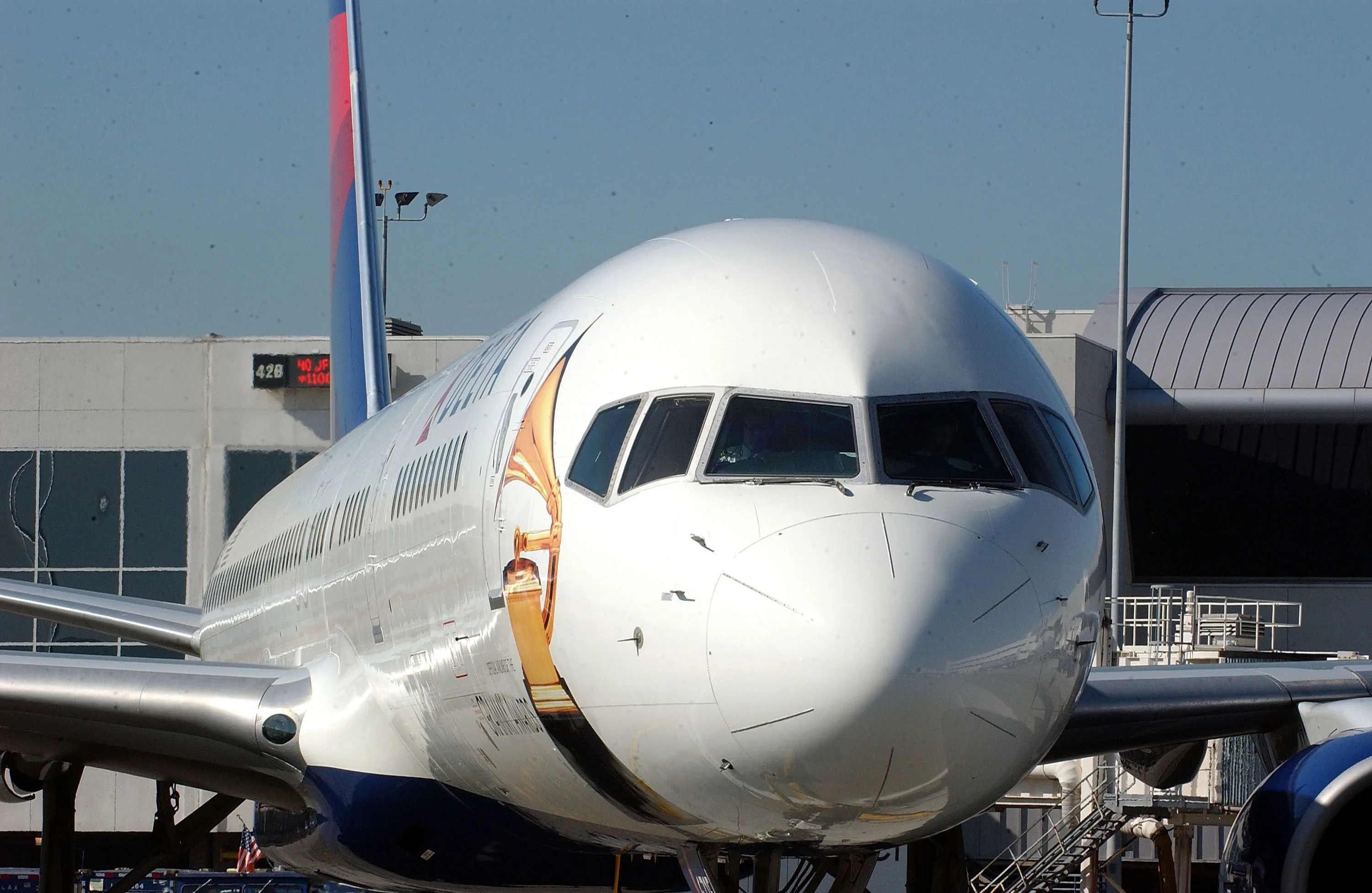What Special Liveries Has Delta Air Lines Painted Its Aircraft In