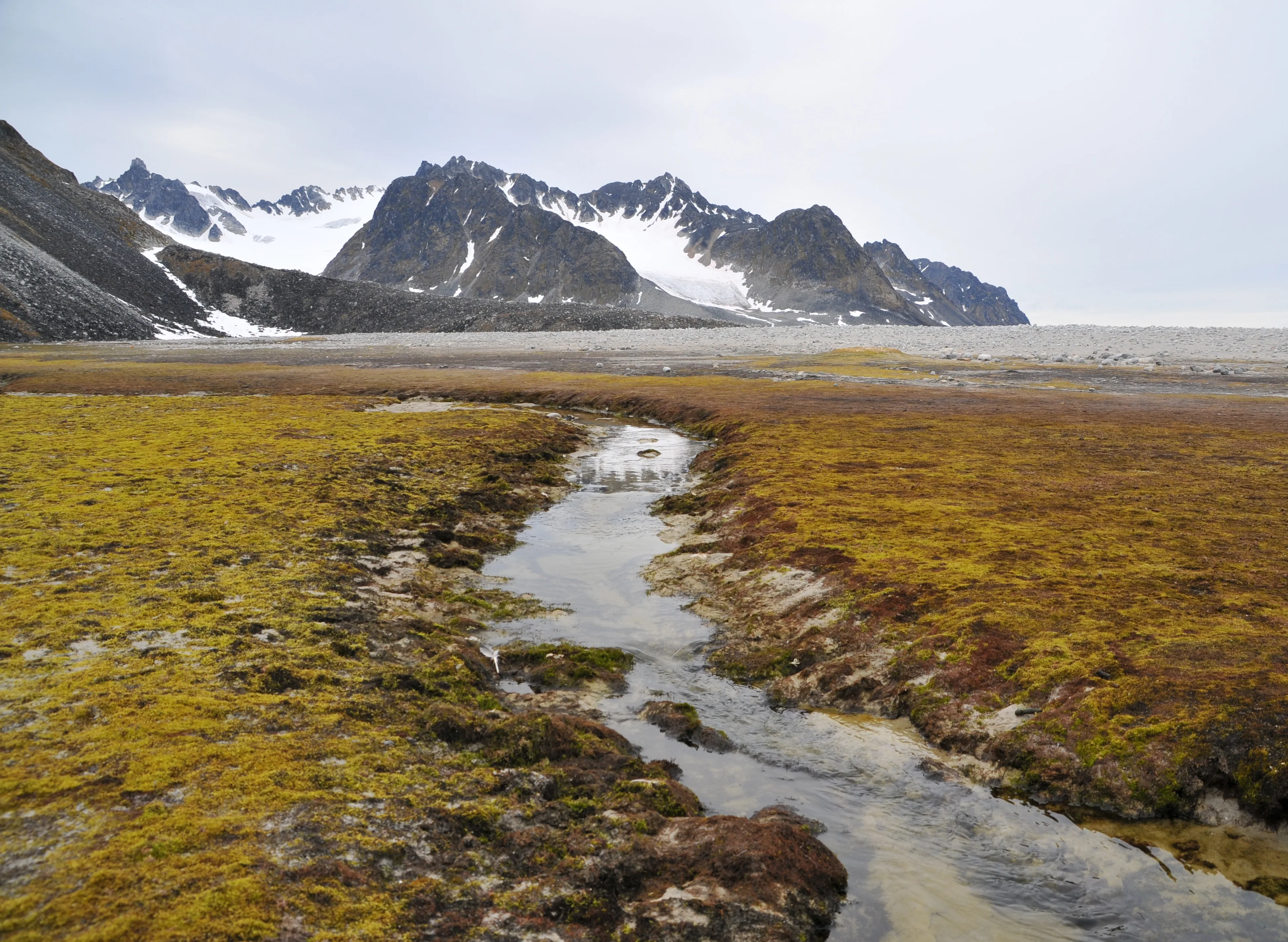 What To Pack For The Arctic Tundra Usa Today