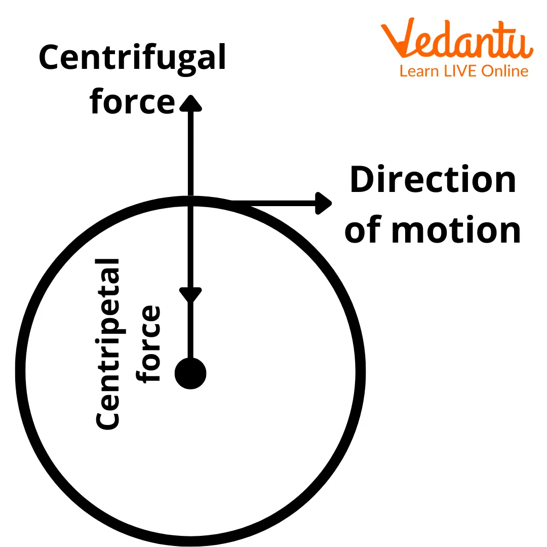 What Types Of Centrifugal Force At Carolyn Huddleston Blog