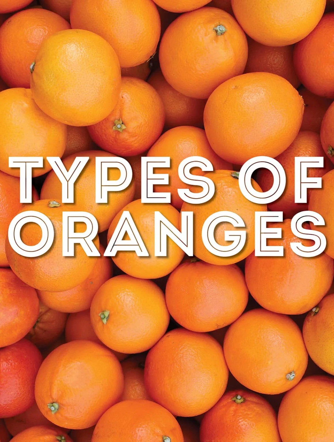 Why Do I See Orange As Red At Wanda Bridges Blog