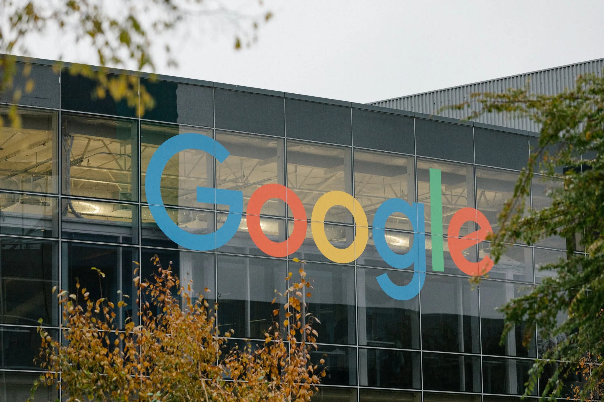 Why Google Backtracked On Its New Search Results Look The New York Times