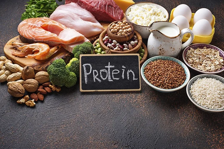Why Is Protein Important An Essential Guide For Men Men S Fit Club