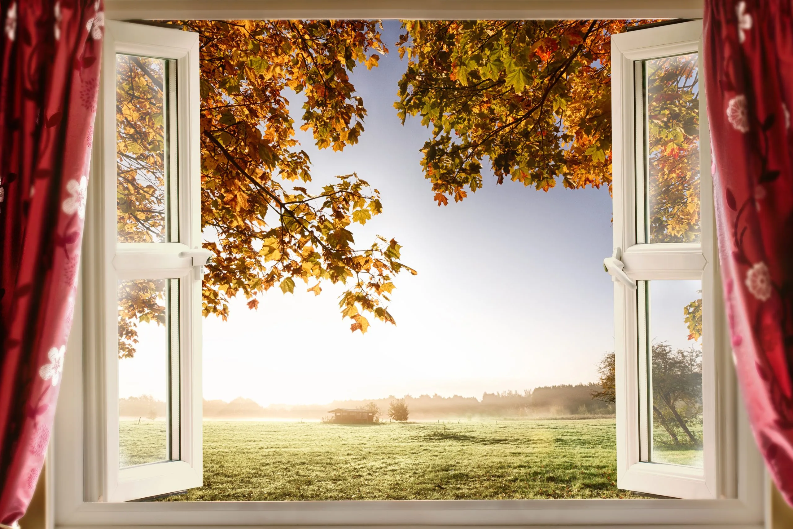 Windows