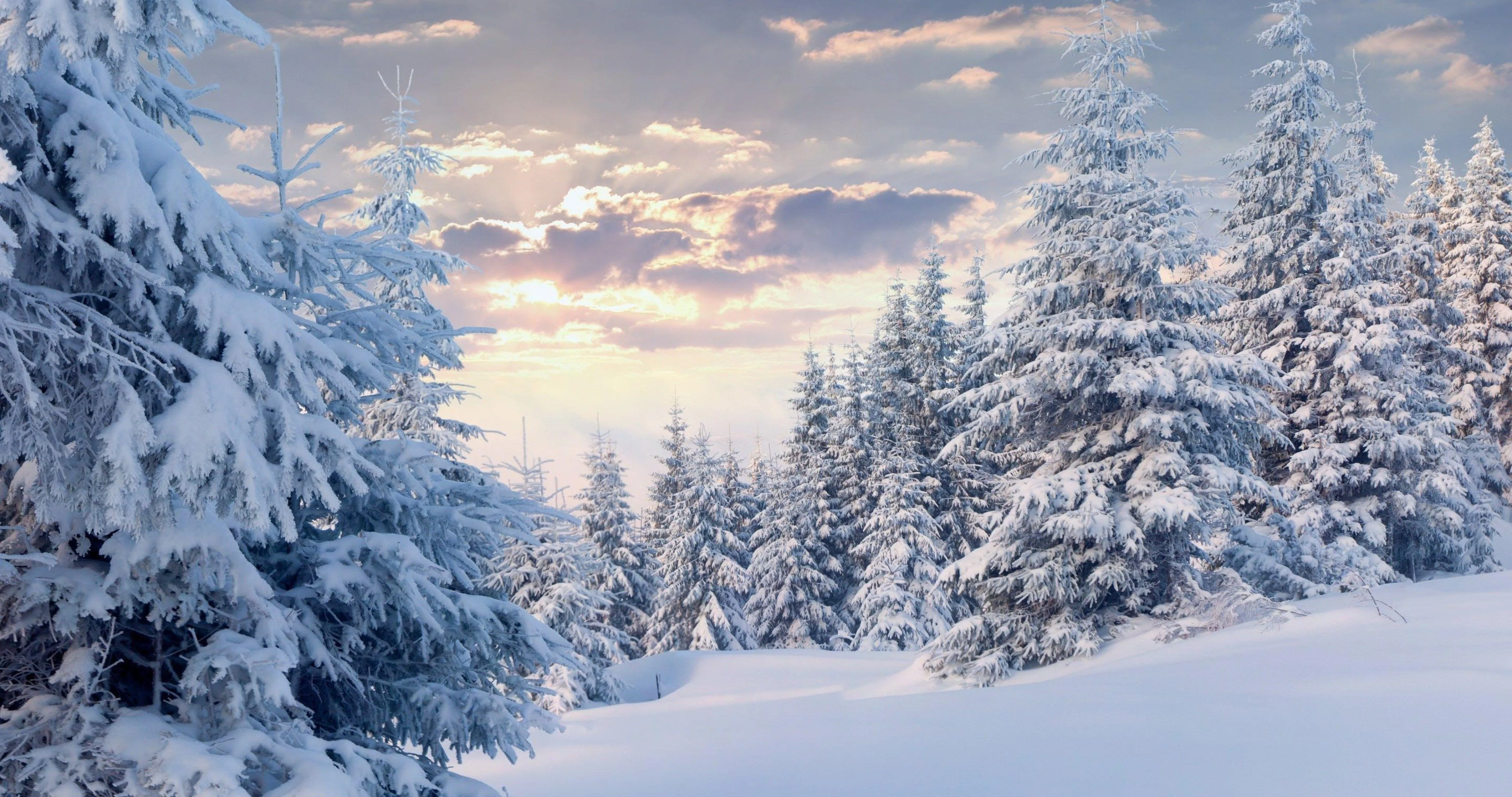 Winter Snow 4K Wallpapers Top Free Winter Snow 4K Backgrounds Wallpaperaccess